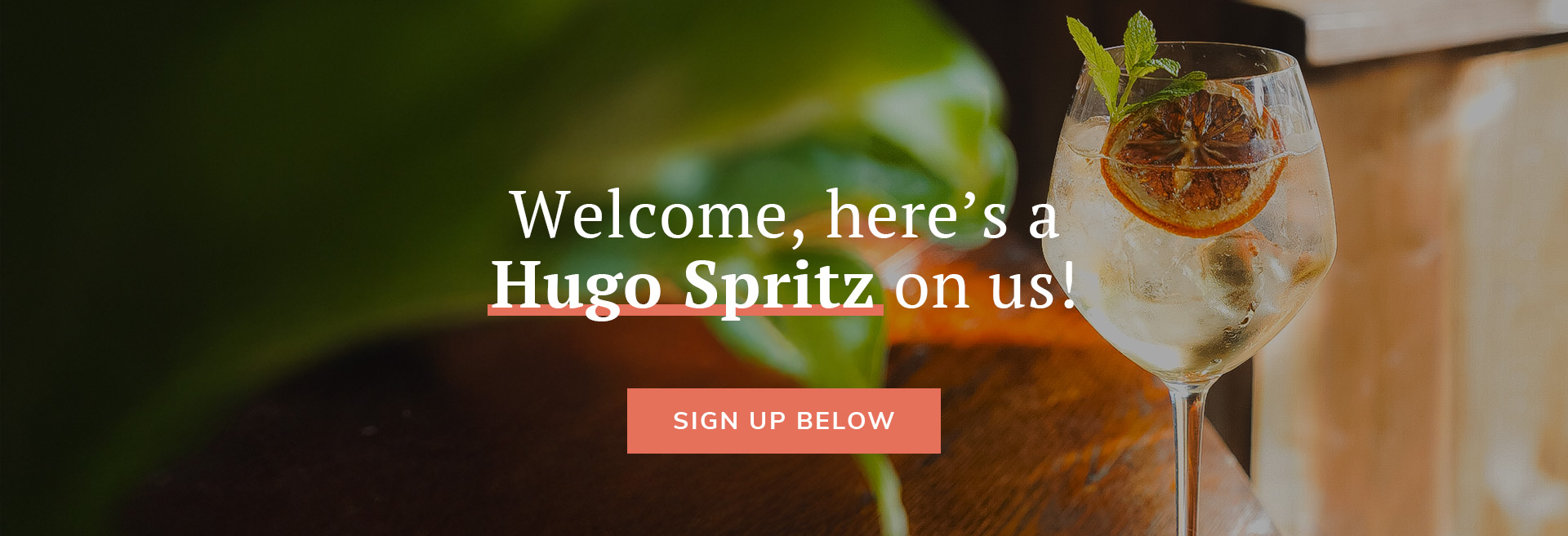 Sign up to the newsletter at The Flyer